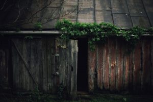 reclaimed-barn-wood