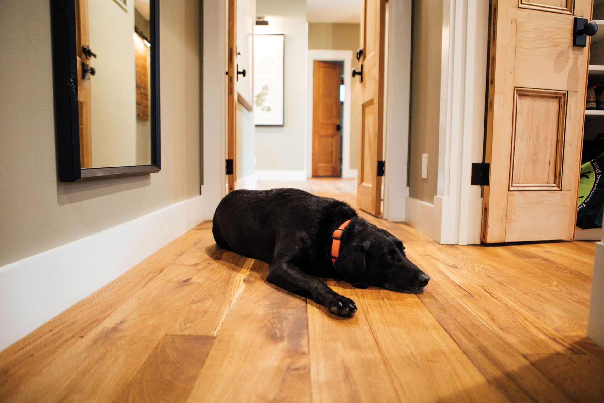 picture of American Heritage flooring from Cochran's Lumber